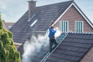 Roof Cleaning Wexford